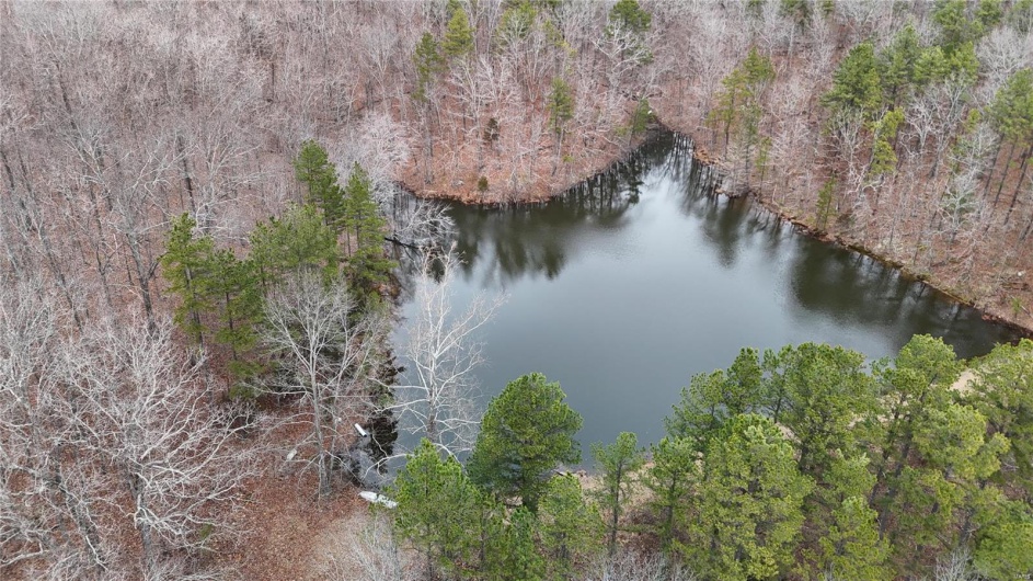 Aerial view with a forest view and a water view