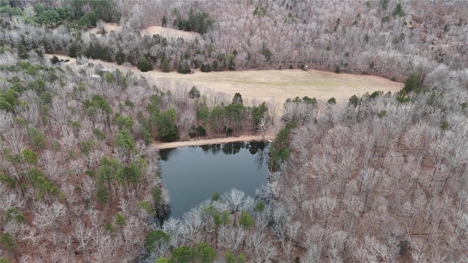 Bird's eye view with a forest view and a water view