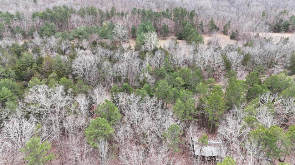 Drone / aerial view with a wooded view
