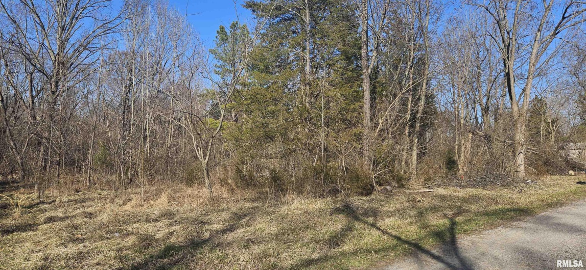 1966 MALLARD Lane, Carterville, Illinois 62918, 0 , 0 ,0,Land,For Sale,MALLARD,0,RMAEB457102