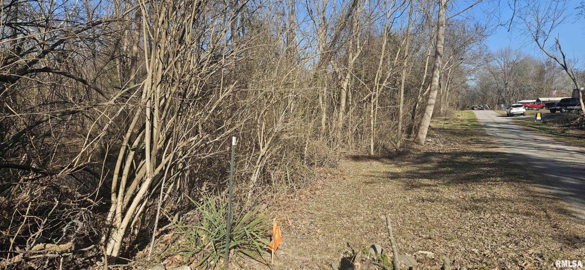 1966 MALLARD Lane, Carterville, Illinois 62918, 0 , 0 ,0,Land,For Sale,MALLARD,0,RMAEB457102