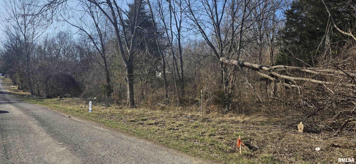 1966 MALLARD Lane, Carterville, Illinois 62918, 0 , 0 ,0,Land,For Sale,MALLARD,0,RMAEB457102