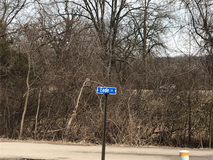 6350 Eagle Lane, Bonne Terre, Missouri 63628, ,Commercial Sale,For Sale,Eagle,MAR19001943