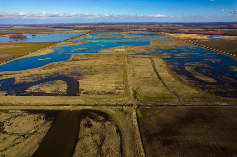 0 County Road 714, Matthews, Missouri 63845, ,Farm,For Sale,County Road 714,MAR25015218