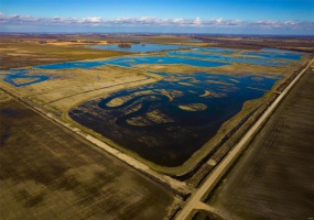 0 County Road 714, Matthews, Missouri 63845, ,Farm,For Sale,County Road 714,MAR25015218