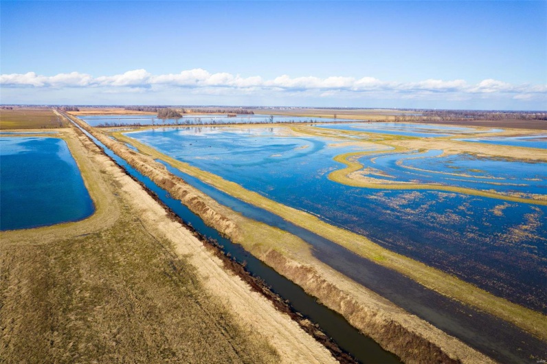 0 County Road 714, Matthews, Missouri 63845, ,Farm,For Sale,County Road 714,MAR25015218