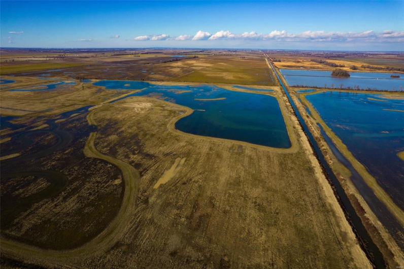 0 County Road 714, Matthews, Missouri 63845, ,Farm,For Sale,County Road 714,MAR25015218