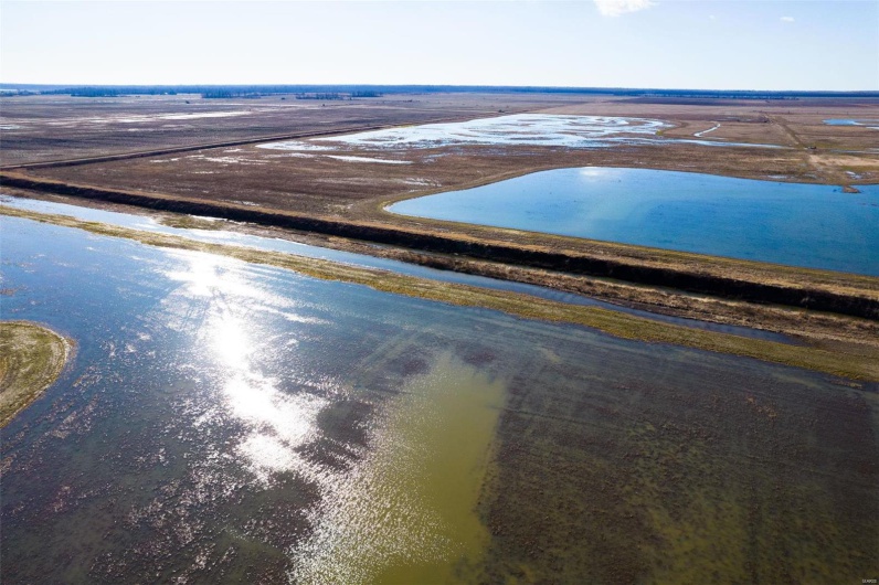 0 County Road 714, Matthews, Missouri 63845, ,Farm,For Sale,County Road 714,MAR25015218