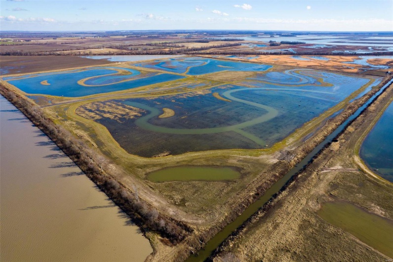 0 County Road 714, Matthews, Missouri 63845, ,Farm,For Sale,County Road 714,MAR25015218