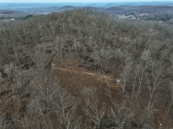 Aerial view featuring a wooded view