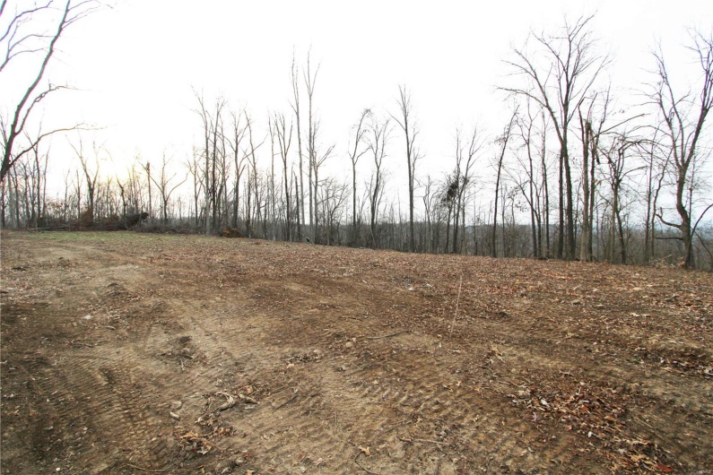 0 BCR 532, Zalma, Missouri 63787, ,Farm,For Sale,BCR 532,MAR25015211