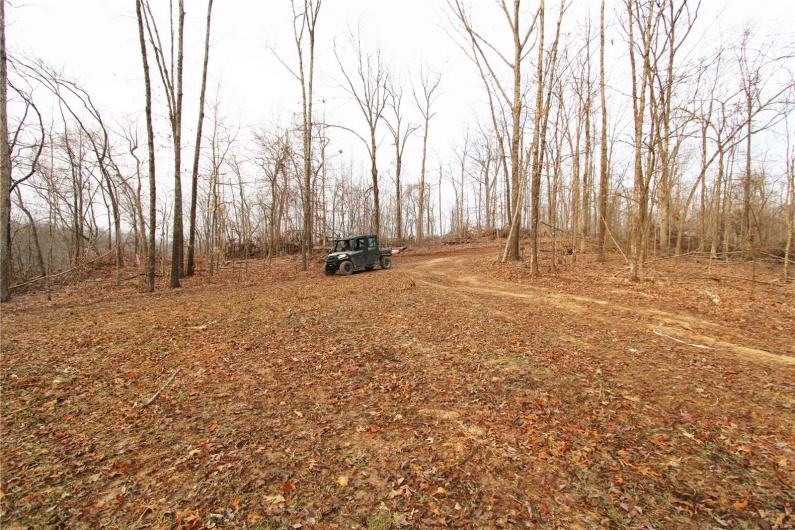 0 BCR 532, Zalma, Missouri 63787, ,Farm,For Sale,BCR 532,MAR25015211