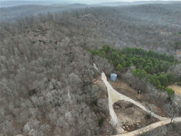 Birds eye view of property featuring a forest view