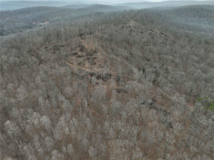 Aerial view featuring a forest view