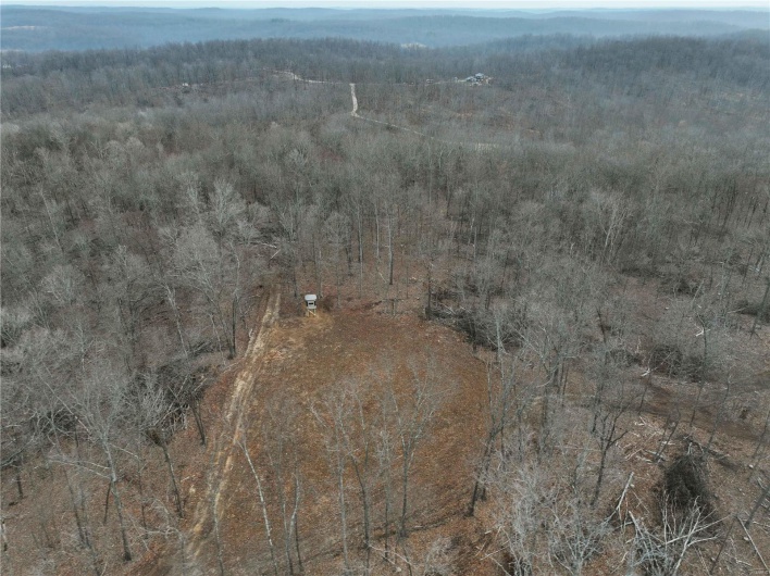 Birds eye view of property featuring a wooded view