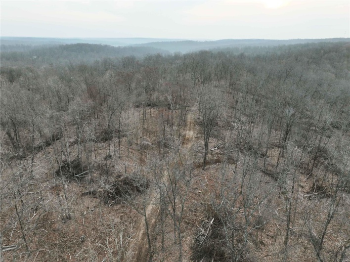 Drone / aerial view with a wooded view