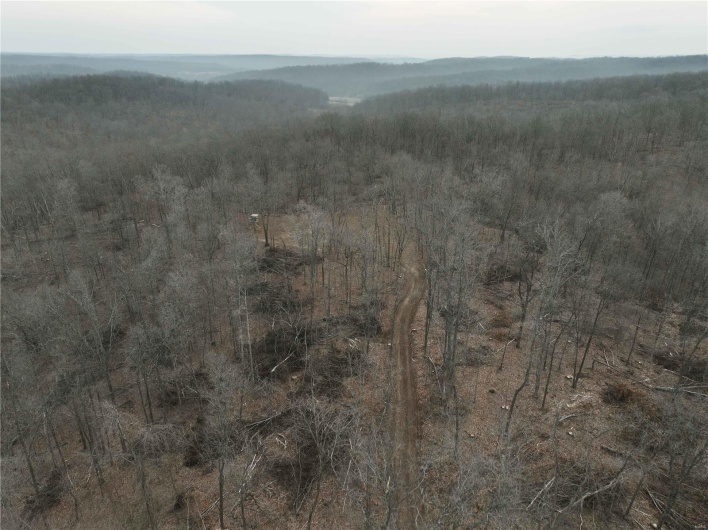 Drone / aerial view with a forest view