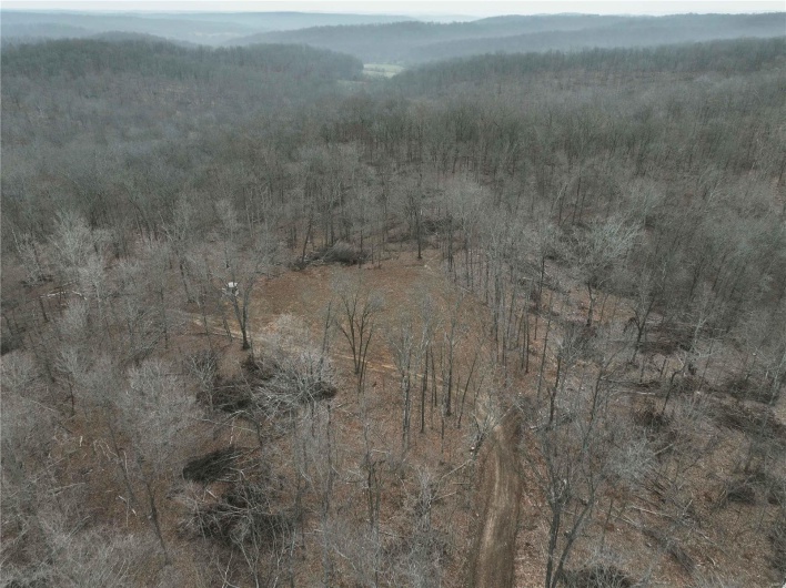 Bird's eye view with a wooded view