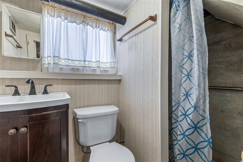 Full bathroom with toilet, curtained shower, and vanity