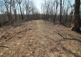 0 Madison CR 411 (120a), Fredericktown, Missouri 63645, ,Farm,For Sale,Madison CR 411 (120a),MAR25012930