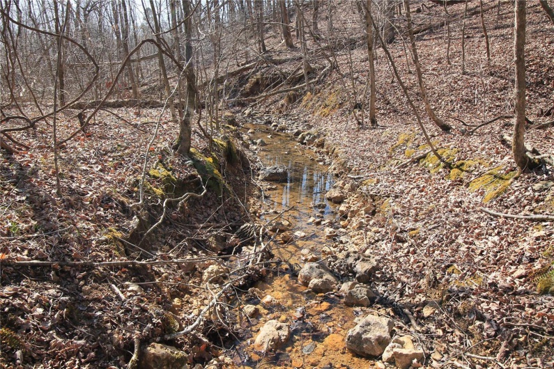 0 Madison CR 411 (120a), Fredericktown, Missouri 63645, ,Farm,For Sale,Madison CR 411 (120a),MAR25012930