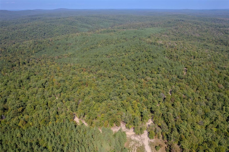 0 Madison CR 411 (120b), Fredericktown, Missouri 63645, ,Farm,For Sale,Madison CR 411 (120b),MAR25015497