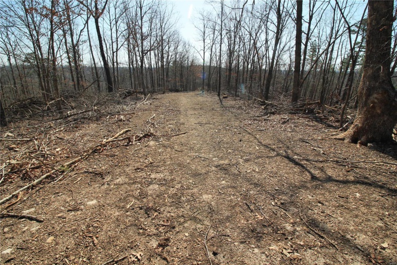 0 Madison CR 411 (120c), Fredericktown, Missouri 63645, ,Farm,For Sale,Madison CR 411 (120c),MAR25015503