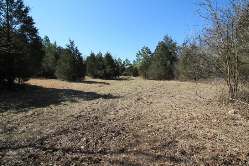 0 Madison CR 9421 (126), Fredericktown, Missouri 63645, ,Farm,For Sale,Madison CR 9421 (126),MAR25015528