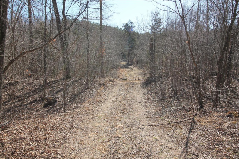 0 Madison CR 9421 (126), Fredericktown, Missouri 63645, ,Farm,For Sale,Madison CR 9421 (126),MAR25015528