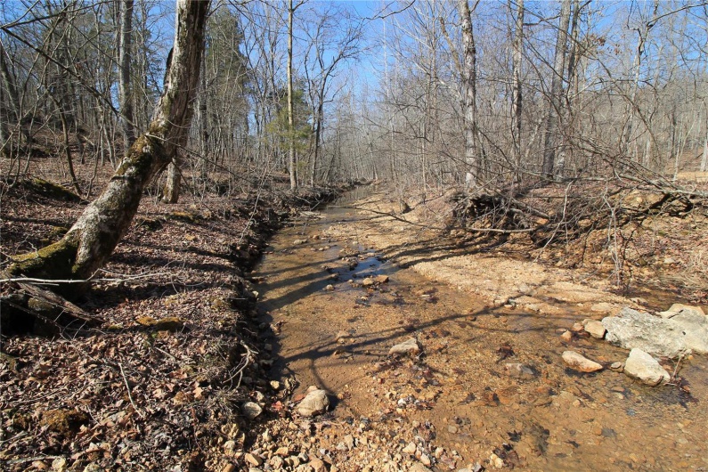 0 Madison CR 9421 (126), Fredericktown, Missouri 63645, ,Farm,For Sale,Madison CR 9421 (126),MAR25015528