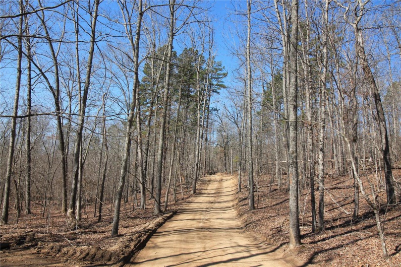 0 Madison CR 9421 (126), Fredericktown, Missouri 63645, ,Farm,For Sale,Madison CR 9421 (126),MAR25015528