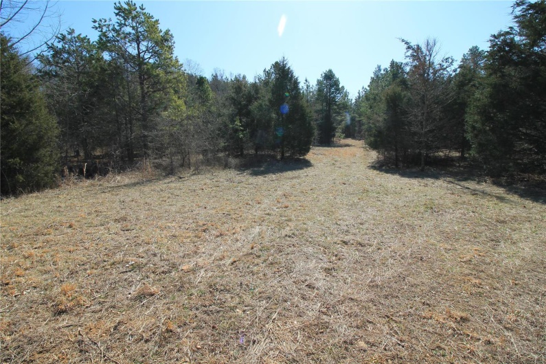 0 Madison CR 9421 (126), Fredericktown, Missouri 63645, ,Farm,For Sale,Madison CR 9421 (126),MAR25015528