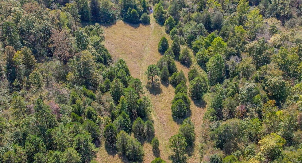 0 Madison CR 9421 (126), Fredericktown, Missouri 63645, ,Farm,For Sale,Madison CR 9421 (126),MAR25015528