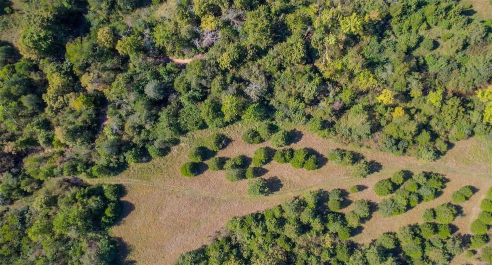 0 Madison CR 9421 (126), Fredericktown, Missouri 63645, ,Farm,For Sale,Madison CR 9421 (126),MAR25015528