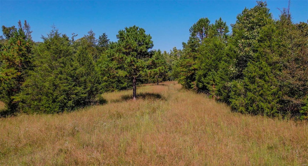 0 Madison CR 9421 (126), Fredericktown, Missouri 63645, ,Farm,For Sale,Madison CR 9421 (126),MAR25015528