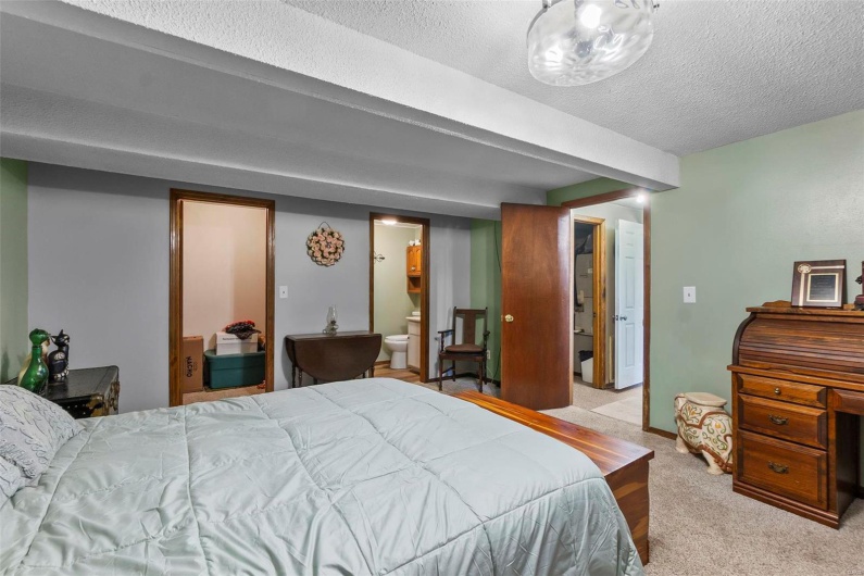 Lower level bedroom with walk-in closet