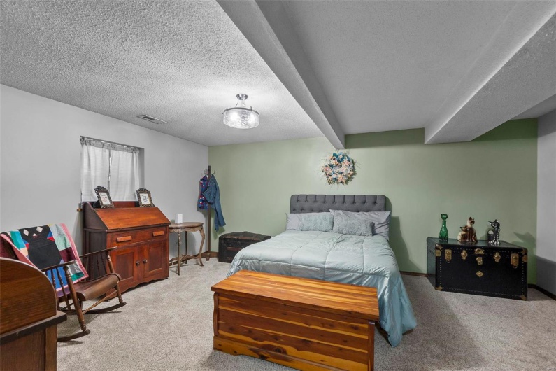 Lower level bedroom 