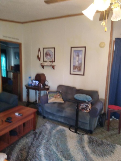 Living room featuring a ceiling fan