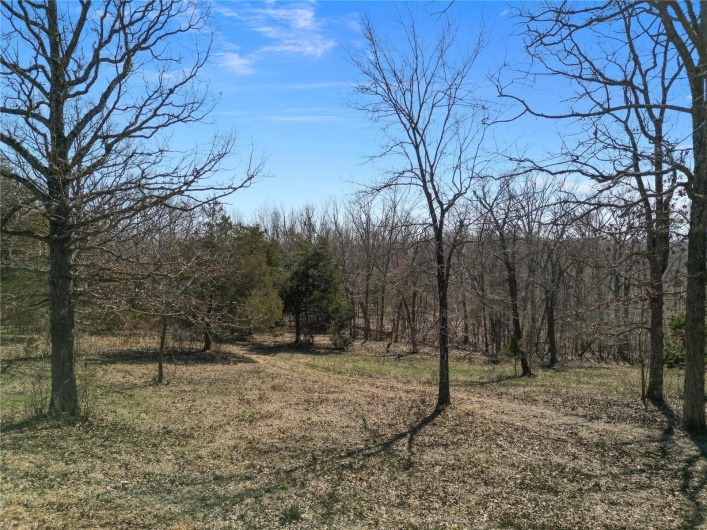 0 Highway N, Perryville, Missouri 63775, ,Farm,For Sale,Highway N,MAR25014809