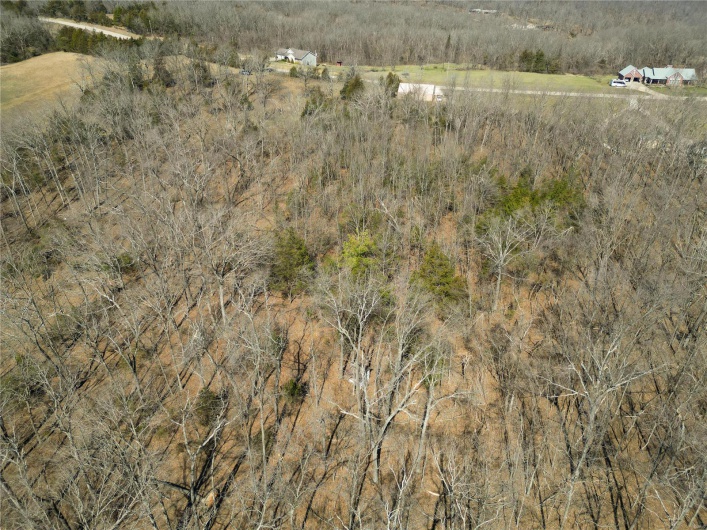 0 Highway N, Perryville, Missouri 63775, ,Farm,For Sale,Highway N,MAR25014809