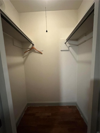 Spacious closet featuring dark wood-style flooring