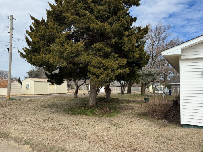 1301 Douglas, Malden, Missouri 63863, 3 Bedrooms Bedrooms, 8 Rooms Rooms,2 BathroomsBathrooms,Residential,For Sale,Douglas,MAR25015938