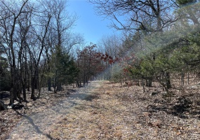 0 County Road 349A, Piedmont, Missouri 63957, ,Land,For Sale,County Road 349A,MAR25016017