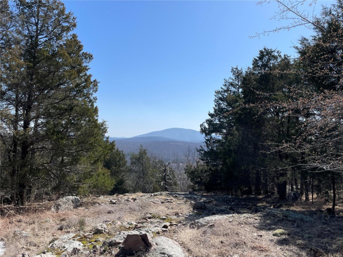 0 County Road 349A, Piedmont, Missouri 63957, ,Land,For Sale,County Road 349A,MAR25016017