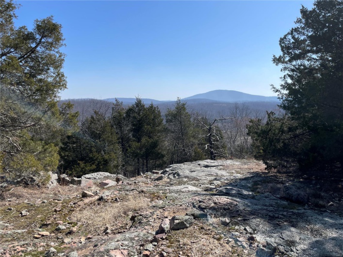 0 County Road 349A, Piedmont, Missouri 63957, ,Land,For Sale,County Road 349A,MAR25016017