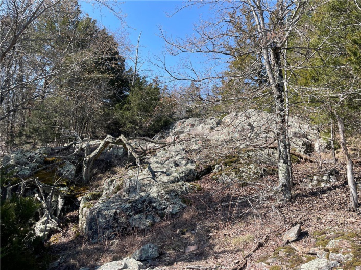 0 County Road 349A, Piedmont, Missouri 63957, ,Land,For Sale,County Road 349A,MAR25016017