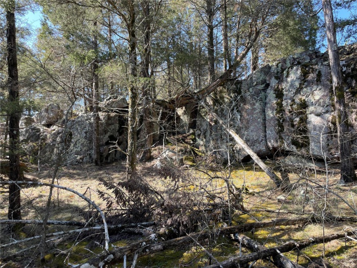 0 County Road 349A, Piedmont, Missouri 63957, ,Land,For Sale,County Road 349A,MAR25016017