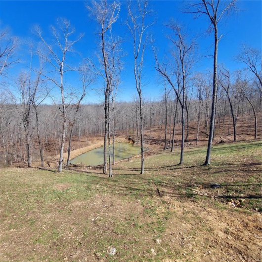 1432 Wayne 523, Wappapello, Missouri 63966, 2 Bedrooms Bedrooms, 4 Rooms Rooms,1 BathroomBathrooms,Residential,For Sale,Wayne 523,MAR25015566