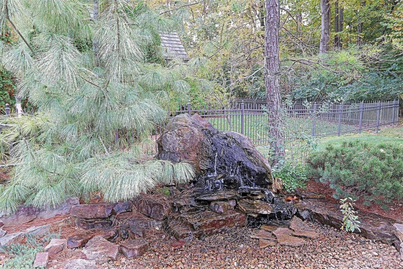 View of local wilderness