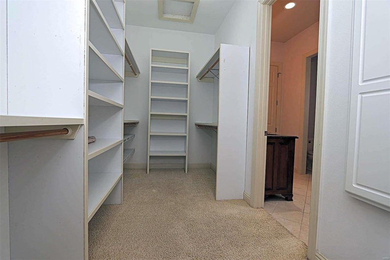 Spacious closet featuring light carpet